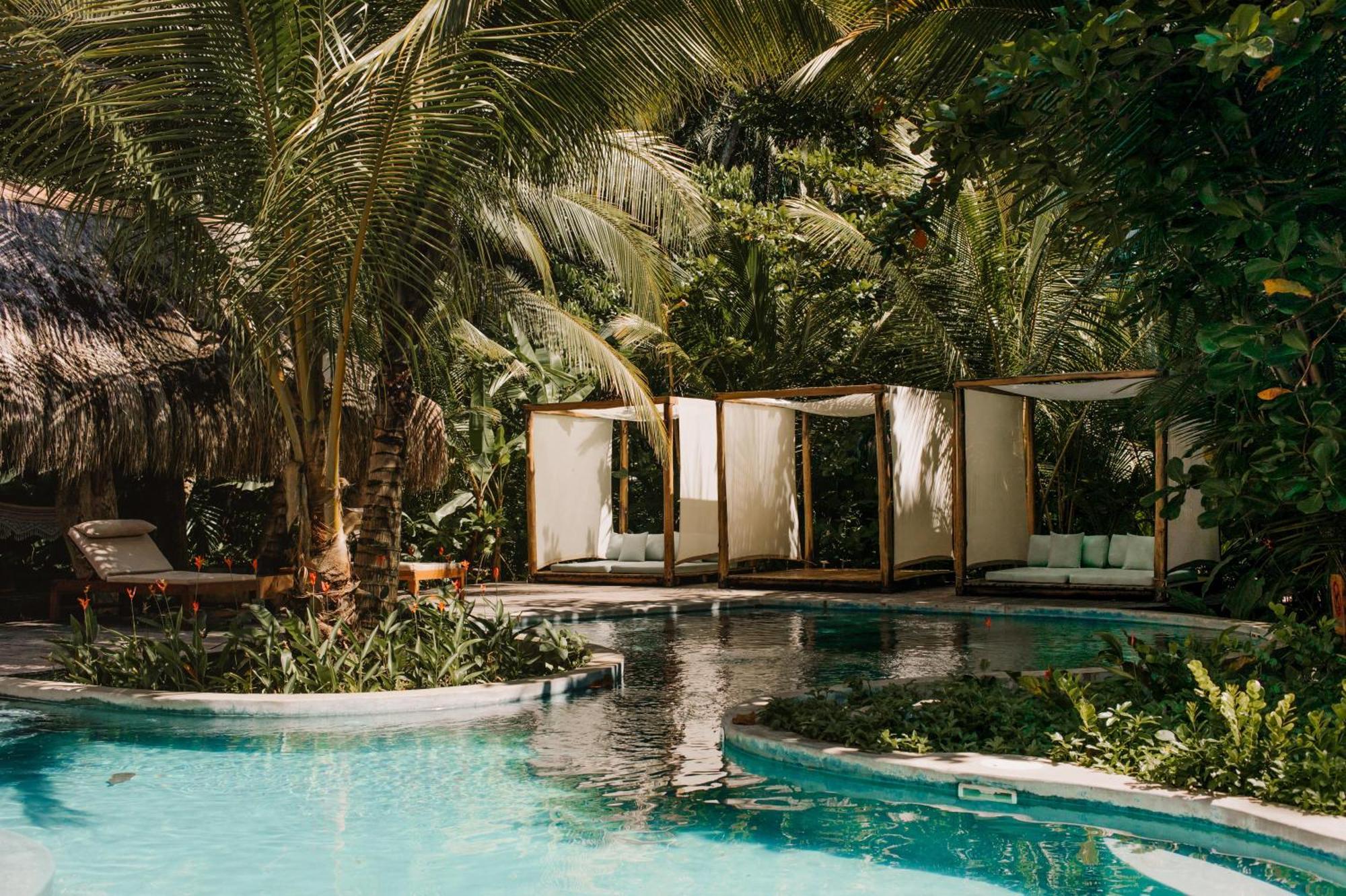 The Resort At Isla Palenque Member Of The Cayuga Collection Boca Chica Eksteriør billede